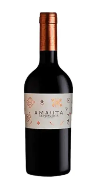 El Porvenir Amauta Malbec